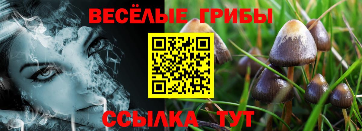 Псилоцибиновые грибы MAGIC MUSHROOMS Клин