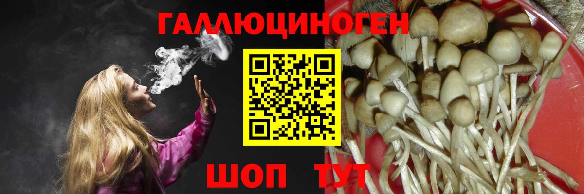 Клин  Псилоцибиновые грибы MAGIC MUSHROOMS  Вход с VPN 